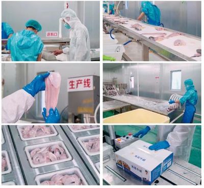 牛蛙飼料巨頭再啟新篇 年銷破10萬噸后，戰略布局原料銷售市場